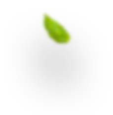 About us 10 h3 leaf 1