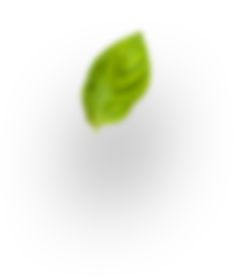 About us 8 h3 leaf 4