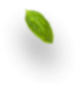 Contact us 2 h4 leaf 1