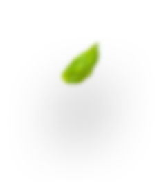 Contact us 3 h4 leaf 2
