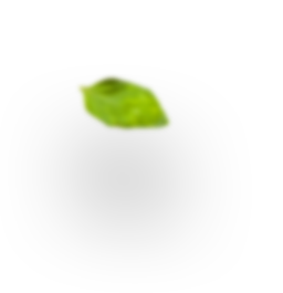 Contact us 4 h4 leaf 3